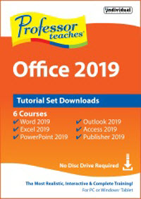 Individual Software Professor Teaches Office 2019 
